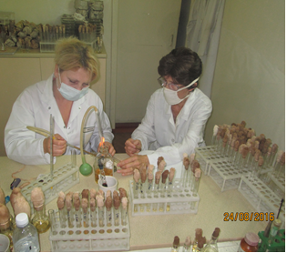 În laboratorul științific „Infecții nosocomiale”